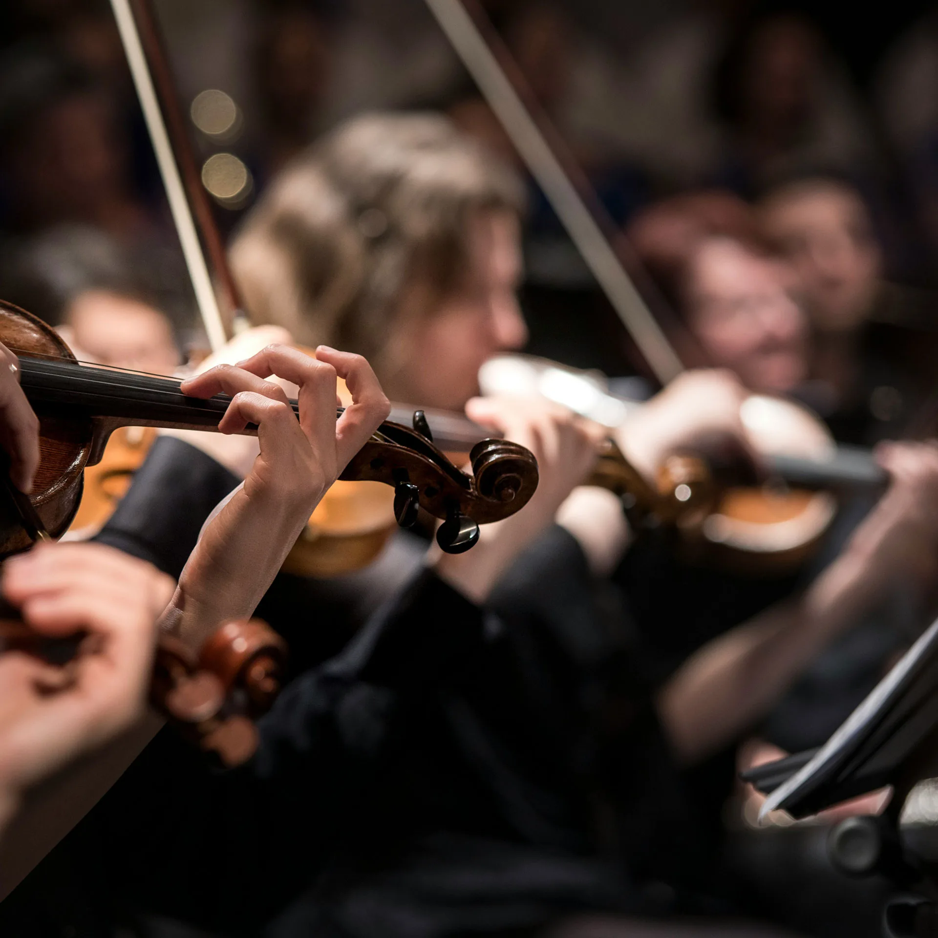 Närbild på fioler i orkester
